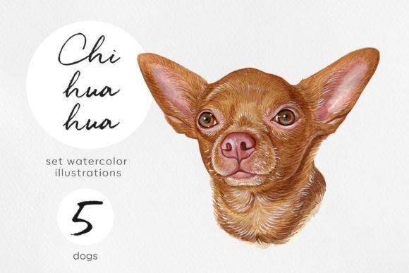 Download Watercolor 5 Chihuahua Dog Illustration - Watercolor Collection