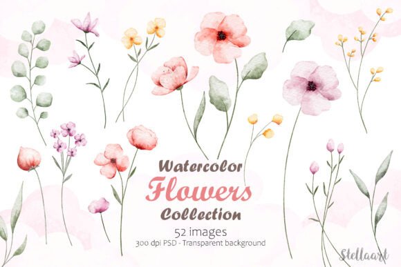 Download Watercolor Flowers Collection - Watercolor Collection